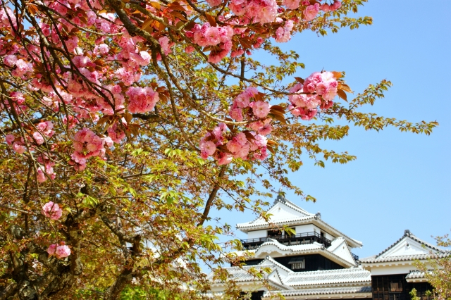 着物レンタル　松山市