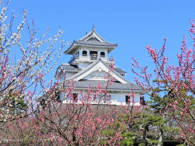 着物レンタル　長浜