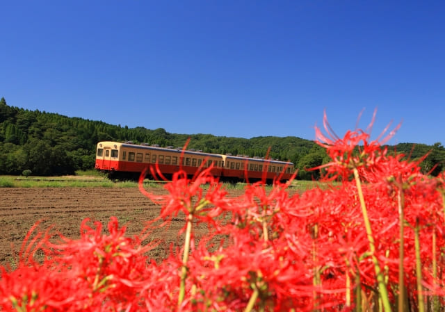 着物レンタル　市原